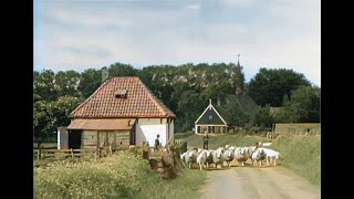 Texel De Parel Der Waddenzee in 1943 in kleur The beautiful Dutch island of Texel in 1943 in color [upl. by Kiehl]