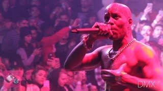 DMX  How Its Going Down LIVE at The Observatory [upl. by Hassin]