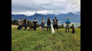 Hundetraining über Körpersprache Dobermann Schäferhund leinenführigkeit [upl. by Eizle]