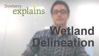 What is Wetland Delineation [upl. by Eisset238]