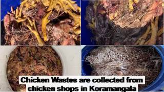 ERS Chicken Waste Processing [upl. by Maharba]