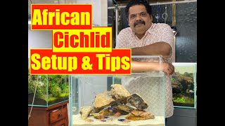 African Cichlid Fish  How to Setup an Aquarium  Mayur Devs Tips on Cichlid Fish Keeping HD1080p [upl. by Ahsennod13]