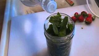 How to Make Mint Extract Noreens Kitchen [upl. by Nohsal]