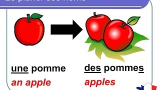 French Lesson 92  Plural nouns Grammar Rules Pronunciation  Le pluriel des noms en français [upl. by Lacefield]