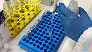 02  DNA Isolation from bacterial culture [upl. by Bernadene]