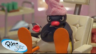 Pingu Loves Life  Pingu  Official Channel  Cartoons For Kids [upl. by Smart]