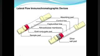 Guide to Immunochromatographic Assay [upl. by Battiste]