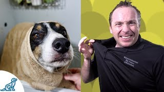 Simple Hacks To Bath Your Dog  Professional Dog Training Tips [upl. by Ddet]