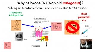 A New Paradigm for Buprenorphine Testing [upl. by Lynea]