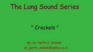 Breath Sounds  Crackels [upl. by Marabelle]