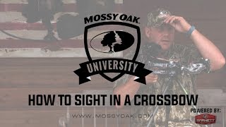 How To Sight In A Crossbow Scope [upl. by Odey253]