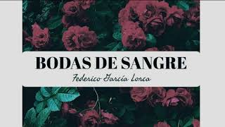 Bodas de Sangre Audiolibro [upl. by Bernarr]