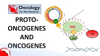 Introduction to Cancer Biology Part 1 Abnormal Signal Transduction [upl. by Rosella280]