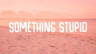 Jonas Blue  Something Stupid Lyrics ft AWA [upl. by Tine]