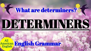 DETERMINERS  What are DETERMINERS  English Grammar  Intermediate  All American English [upl. by Ahseital]