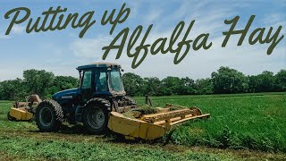 Round Baling Alfalfa In Kansas ENTIRE PROCESS [upl. by Slaohcin]