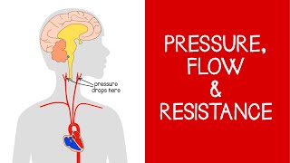 42 Cardiovascular Pressure Flow and Resistance [upl. by Volding]