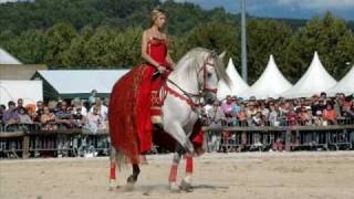 Spectacle Equestre Ibérique Quintero El Magnifico [upl. by Gilmour]