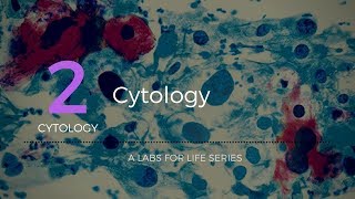 Cytology [upl. by Verge]