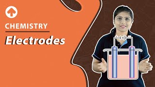 Electrodes  Chemistry [upl. by Lorrimor480]