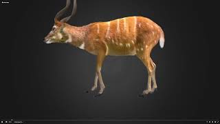 Sitatunga Realistic [upl. by Netsrejk]