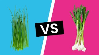 Chives vs Scallions  Whats the Difference [upl. by Airotnes403]