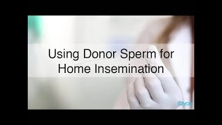 How to perform a Home Insemination [upl. by Gnoht392]