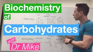 Carbohydrates  Biochemistry [upl. by Tannie]