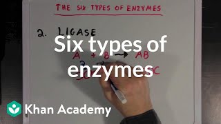 Six types of enzymes  Chemical Processes  MCAT  Khan Academy [upl. by Dinerman]