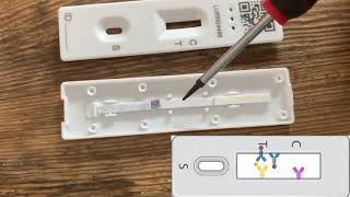 Lateral Flow Test Teardown [upl. by Dion]