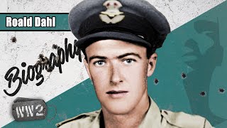 Roald Dahl  Pilot Seducer and Author  WW2 Biography Special [upl. by Noryt]