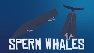 10 Interesting Facts About Sperm Whales [upl. by Ahsoyek923]