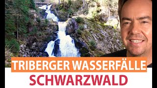 Triberger Wasserfälle  Ausflugsziele Schwarzwald [upl. by Broome]