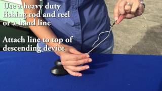 How to use a Shelton fish descender device [upl. by Ailahtan205]