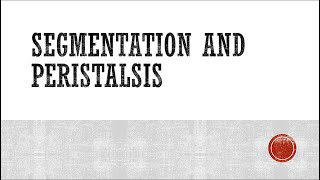 Segmentation and Peristalsis [upl. by Krongold]