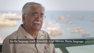 Africa Insights The Swahili Language [upl. by Lakin]