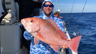 How To Vent amp Descend Red Snapper This Is How We Get More Days Next Year [upl. by Ayamat]