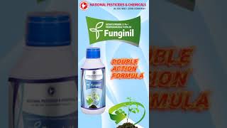 FUNGINIL  Azoxystrobin 71  Propiconazole 119 SE Fungicide [upl. by Jabe]