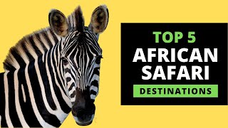 AFRICAN SAFARI DESTINATIONS  Top 5 Most Popular with prices [upl. by Dduj]