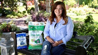 How Iron Tone Can Help Plants Grow [upl. by Ecinnaj]