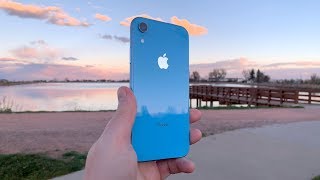 iPhone XR Review Shot On iPhone XR  The Perfect Size [upl. by Glarum808]