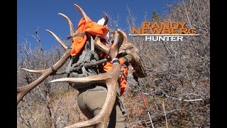 2016 Colorado Rifle Elk Hunt with Randy Newberg S5 E6 [upl. by Yaniv]