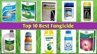 Top 10 Best Fungicide [upl. by Hortensa]