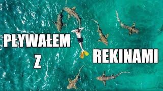 MALEDIWY  PŁYWAŁEM Z REKINAMI  BYŁEM ZESR💩NY 🇲🇻 [upl. by Greerson]