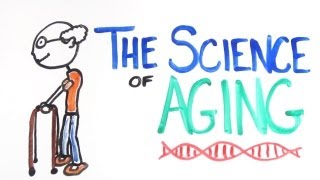 The Science of Aging [upl. by Merton]