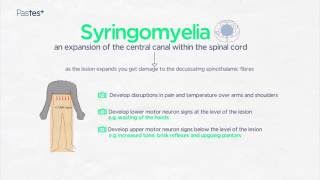 MRCP Part 1 Online Neurology Spinal Cord Anatomy [upl. by Nomael]