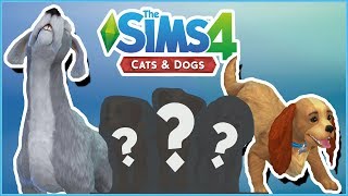 Lady and the Tramps Puppy Surprises 🐱🐶 Sims 4 Cats amp Dogs [upl. by Llerrud]