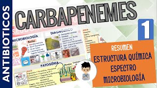 CARBAPENEMES MONOBACTAMICOS Resumen Espectro Antibacteriano Mecanismo de Acción  P1 [upl. by Asirrak]