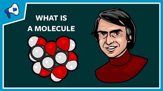 What Is a Molecule [upl. by Ahcsap]