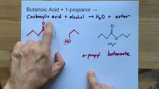 Butanoic Acid  Propanol  ESTER  water [upl. by Lorou]